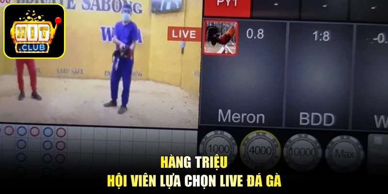 Hàng triệu hội viên lựa chọn Live Đá Gà