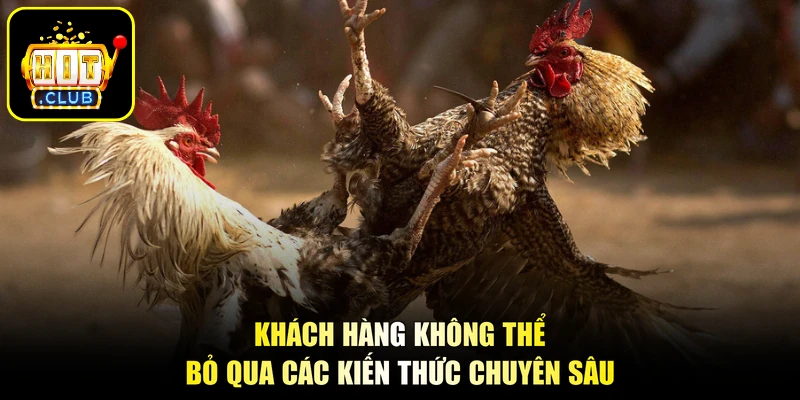 Khách hàng không thể bỏ qua các kiến thức chuyên sâu