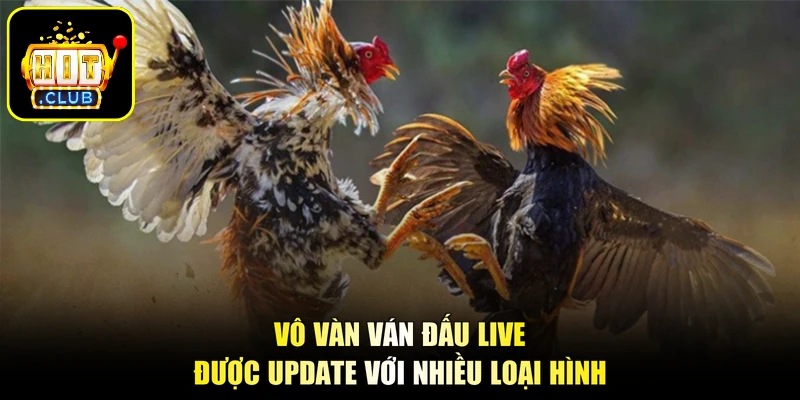 Vô vàn ván đấu live được update với nhiều loại hình